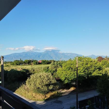Villa Olympia Paralía Dış mekan fotoğraf