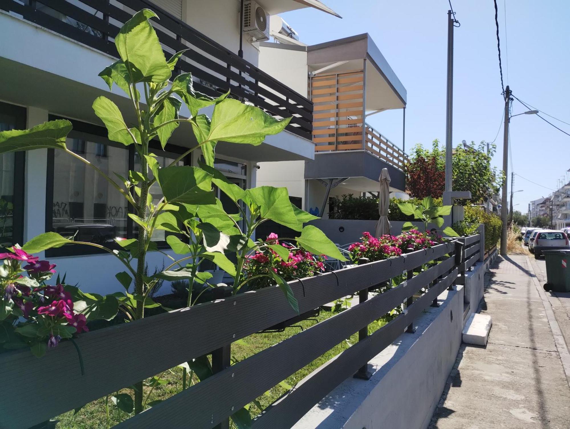 Villa Olympia Paralía Dış mekan fotoğraf